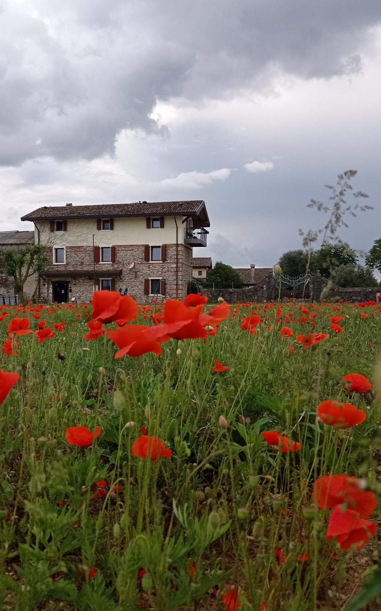 Vila Casal Micelio Udine Exteriér fotografie